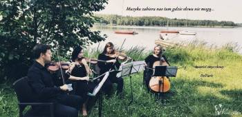 Kwartet smyczkowy Dell'arte | Oprawa muzyczna ślubu Katowice, śląskie