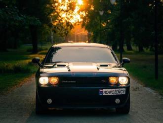Dodge Challenger Black Top - Jeep Wrangler SAHARA! (Samochód,auto) | Auto do ślubu Wrocław, dolnośląskie