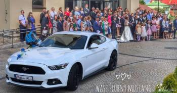 Ślubny Mustang | Auto do ślubu Rzeszów, podkarpackie