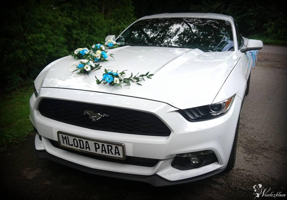 Ford Mustang 3.7l  | Auto do ślubu Zator, małopolskie - zdjęcie 1