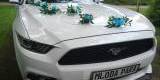 Ford Mustang 3.7l  | Auto do ślubu Zator, małopolskie - zdjęcie 3