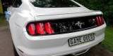 Ford Mustang 3.7l  | Auto do ślubu Zator, małopolskie - zdjęcie 5
