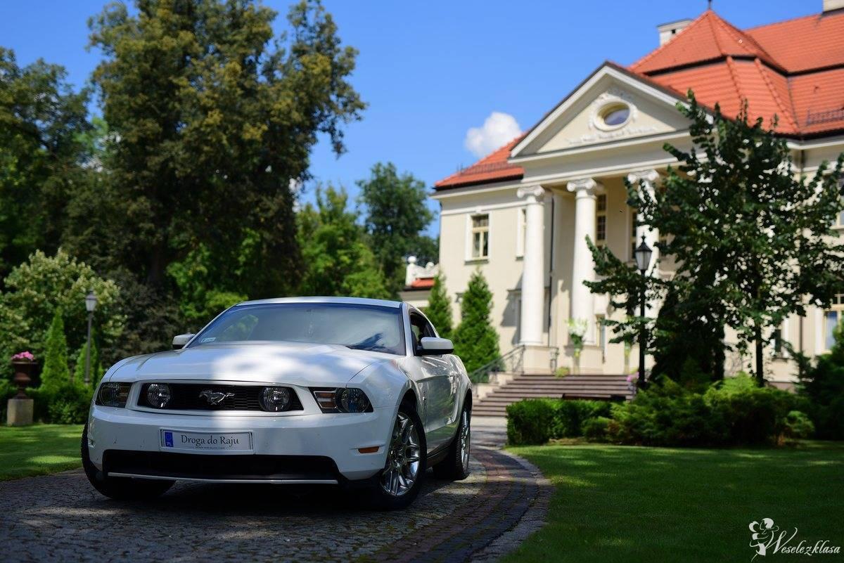Vesilia - Ford Mustang - Prowadź legendę | Auto do ślubu Zagórów, wielkopolskie - zdjęcie 1