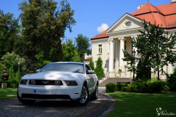 Vesilia -  Ford Mustang - Prowadź legendę, Samochód, auto do ślubu, limuzyna Wronki