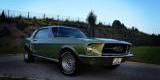 Mustangiem do ślubu ! Prowadź sam ! Ford Mustang 1968, Nowy Sącz - zdjęcie 3