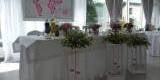 Dekoracja ślubna, weselna - Pracownia Artystyczna MG Magdalena Guziuk, Terespol - zdjęcie 3