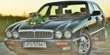 Jaguar XJ przedłużany KLASYK | Auto do ślubu Pszczyna, śląskie - zdjęcie 3