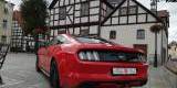 LEGENDA AMERYKAŃSKIEJ MOTORYZACJI FORD MUSTANG GT NA ŚLUB, Szczecin - zdjęcie 6