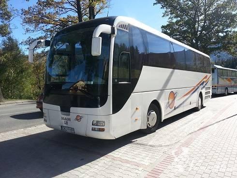 Tiger-Bus luksusowe busy i autokary dla gości ! | Wynajem busów Nowa Ruda, dolnośląskie - zdjęcie 1