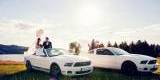 Mustang COUPE i CABRIO, którego z koników poprowadzisz w dniu ślubu:) | Auto do ślubu Nowy Sącz, małopolskie - zdjęcie 2