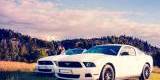 Mustang COUPE i CABRIO, którego z koników poprowadzisz w dniu ślubu:) | Auto do ślubu Nowy Sącz, małopolskie - zdjęcie 3