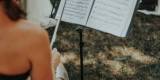 ViolinArt - Skrzypce z Wiolonczelą lub Pianinem , Kwartet Smyczkowy, Wrocław - zdjęcie 6
