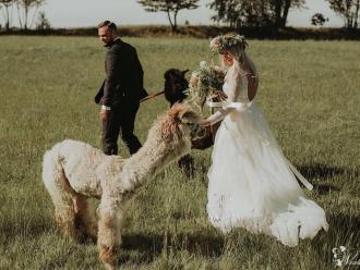 Coolartpro | Fotograf ślubny Wejherowo, pomorskie