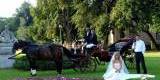 Ekskluzywna bryczka ślubna, powóz konny na wesele | Bryczka do ślubu Olsztyn, warmińsko-mazurskie - zdjęcie 3