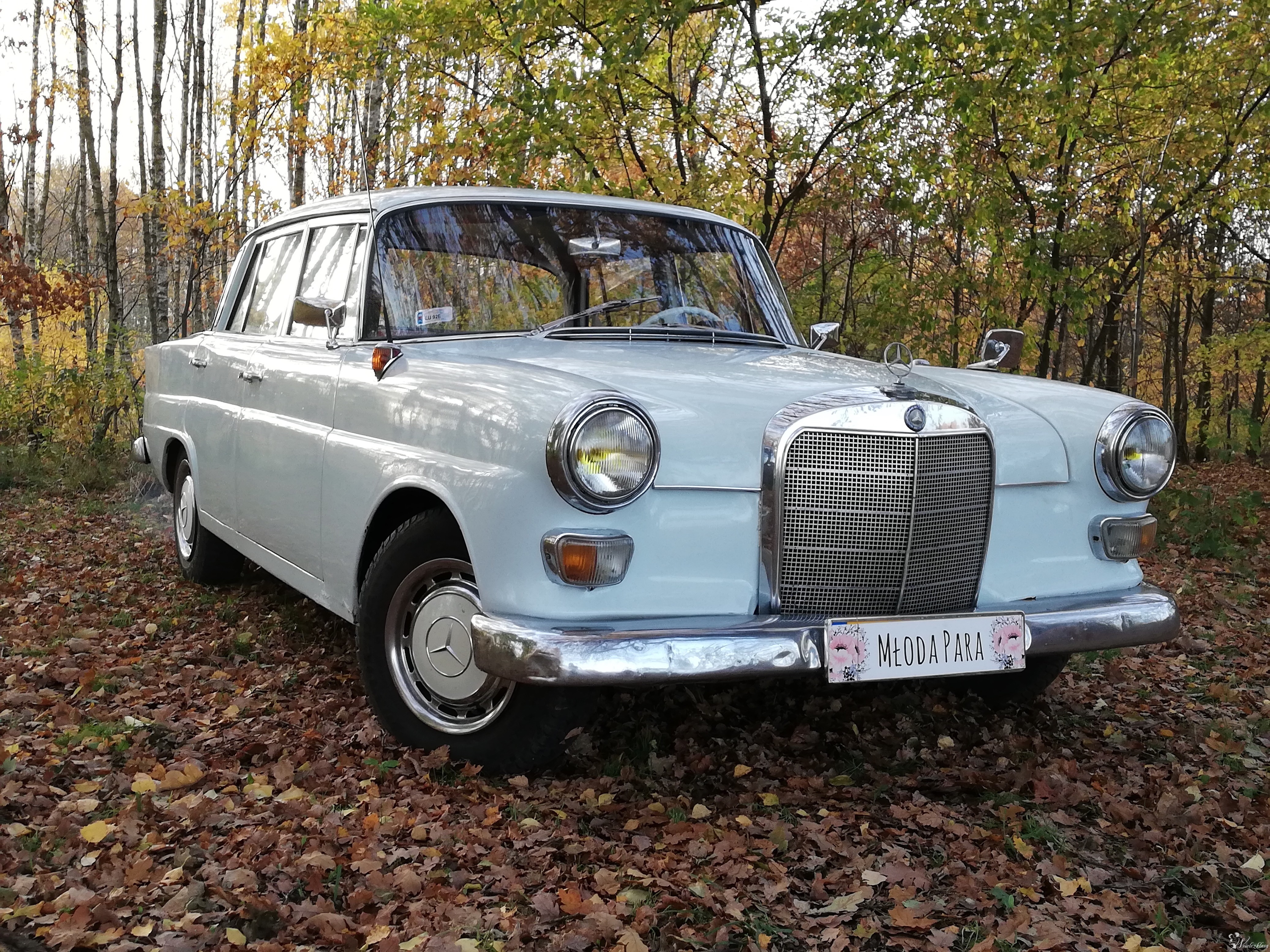 Mercedes W110 1962r skrzydlak wynajem do ślubu | Auto do ślubu Łódź, łódzkie - zdjęcie 1
