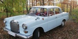Mercedes W110 1962r skrzydlak wynajem do ślubu | Auto do ślubu Łódź, łódzkie - zdjęcie 2