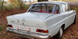 Mercedes W110 1962r skrzydlak wynajem do ślubu | Auto do ślubu Łódź, łódzkie - zdjęcie 3