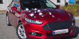 Samochód do ślubu, Auto na ślub, Ford Mondeo MK5, Wesele | Auto do ślubu Kraków, małopolskie - zdjęcie 5