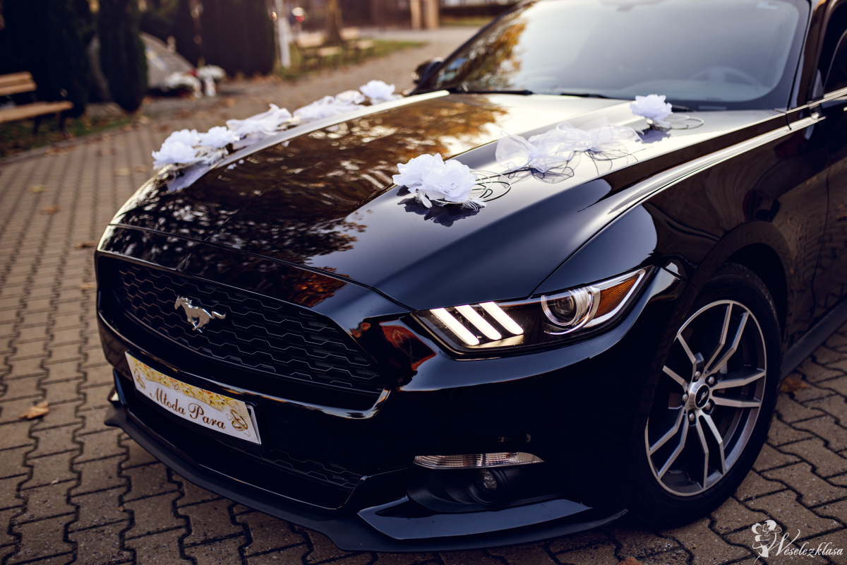 Ford Mustang 2017 - Wynajem, filmowanie, możliwość prowadzenia, Szczecin - zdjęcie 1