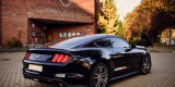 Ford Mustang 2017 - Wynajem, filmowanie, możliwość prowadzenia, Szczecin - zdjęcie 2
