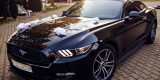 Ford Mustang 2017 - Wynajem, filmowanie, możliwość prowadzenia, Szczecin - zdjęcie 3