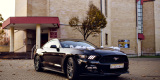 Ford Mustang 2017 - Wynajem, filmowanie, możliwość prowadzenia, Szczecin - zdjęcie 4