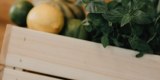 Do Dna - Profesjonalne Usługi Barmańskie, Ostrzeszów - zdjęcie 3