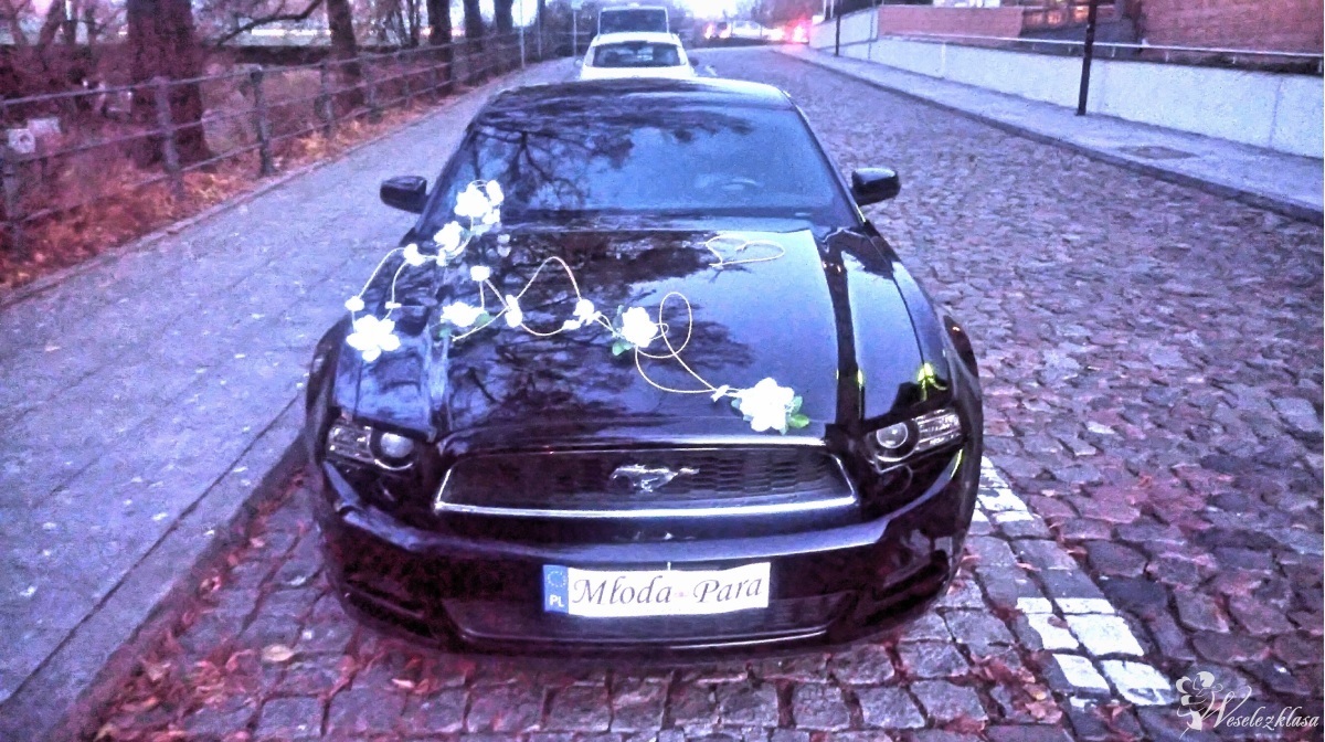 Mustang elastyczna oferta, sam prowadzisz | Auto do ślubu Bydgoszcz, kujawsko-pomorskie - zdjęcie 1