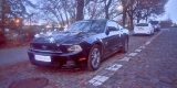 Mustang elastyczna oferta, sam prowadzisz | Auto do ślubu Bydgoszcz, kujawsko-pomorskie - zdjęcie 2
