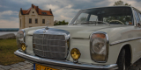 Mercedes zabytkowy oraz BMW | Auto do ślubu Włocławek, kujawsko-pomorskie - zdjęcie 3