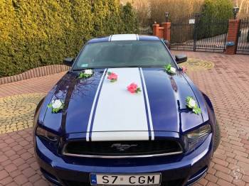 Mustangiem do Ślubu - Ford Mustang Deep Impact Blue - 3.7 V6 2014r., Samochód, auto do ślubu, limuzyna Pilica