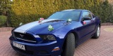 Ford Mustang Deep Impact Blue - 3.7 V6 2014r. | Auto do ślubu Częstochowa, śląskie - zdjęcie 2
