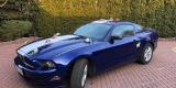 Ford Mustang Deep Impact Blue - 3.7 V6 2014r. | Auto do ślubu Częstochowa, śląskie - zdjęcie 3