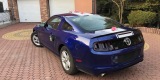 Mustangiem do Ślubu - Ford Mustang Deep Impact Blue - 3.7 V6 2014r., Częstochowa - zdjęcie 4