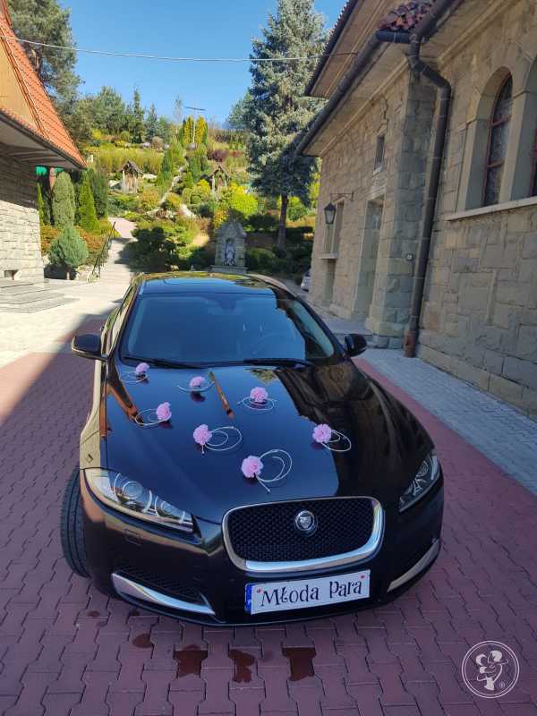 Jaguar XJ / Jaguar XF wynajem samochodów do ślubu, Krakow - zdjęcie 1