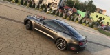 Ford Mustang S550 317KM 2015r Automat- NAJTANIEJ - 590zł | Auto do ślubu Mysłowice, śląskie - zdjęcie 5