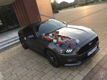 Ford Mustang S550 317KM 2015r Automat- NAJTANIEJ - 590zł, Samochód, auto do ślubu, limuzyna Mysłowice
