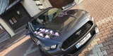 Ford Mustang S550 317KM 2015r Automat- NAJTANIEJ - 590zł | Auto do ślubu Mysłowice, śląskie - zdjęcie 2