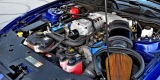 Auto do ślubu Mustang Shelby GT500 | Auto do ślubu Bydgoszcz, kujawsko-pomorskie - zdjęcie 3