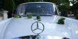 Jedyny taaki Mercedes do ślubu, Warszawa - zdjęcie 3