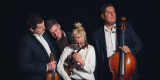 Sonicquartet kwartet smyczkowy - wybitni muzycy na twoim ślubie | Oprawa muzyczna ślubu Gdańsk, pomorskie - zdjęcie 2