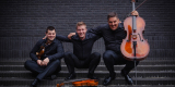 Sonicquartet kwartet smyczkowy - wybitni muzycy na twoim ślubie | Oprawa muzyczna ślubu Gdańsk, pomorskie - zdjęcie 3