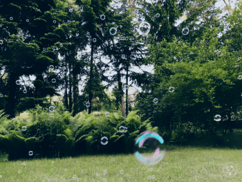 Bańki Mydlane Pokaz, Balony, bańki mydlane Radom