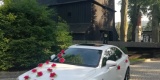 Lexus do ślubu, Bielsko-Biała - zdjęcie 3