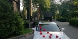 Lexus do ślubu, Bielsko-Biała - zdjęcie 4