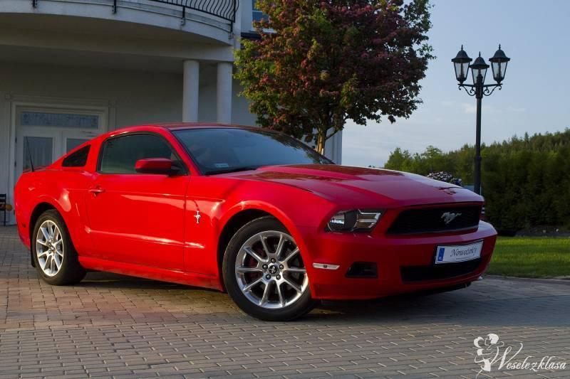 Czerwony Ford Mustang | Auto do ślubu Gdańsk, pomorskie - zdjęcie 1