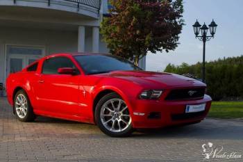 Czerwony Ford Mustang | Auto do ślubu Gdańsk, pomorskie