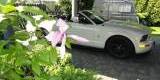 Jaguar Mustang Kabriolet | Auto do ślubu Częstochowa, śląskie - zdjęcie 2