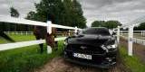 Mustang 2016 do Ślubu od 800 zł, Katowice - zdjęcie 4