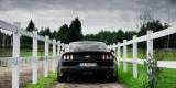 Mustang 2016 do Ślubu od 800 zł, Katowice - zdjęcie 5